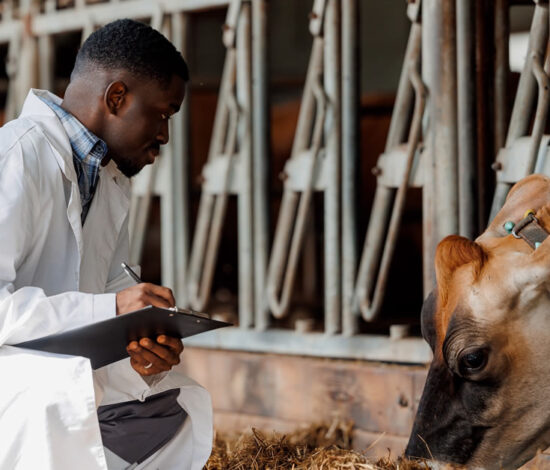 Veterinary Regulation