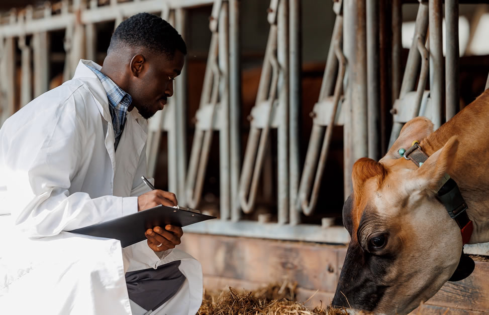 Veterinary Regulation