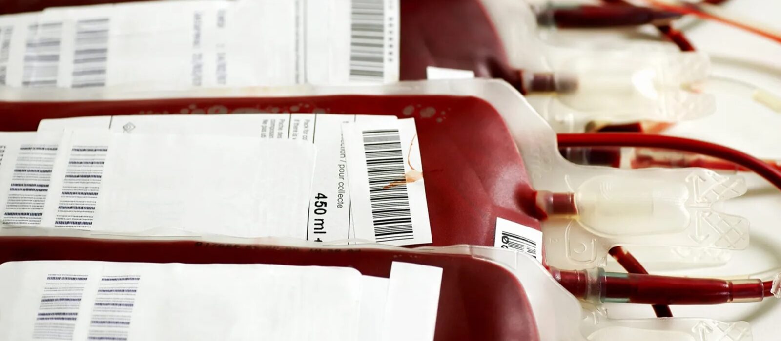 Human-blood-use-transfusion-1